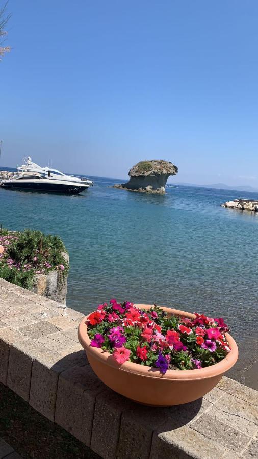 Villa Martina Suite Apartament Lacco Ameno  Exterior photo